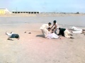 rahil (4).mp4