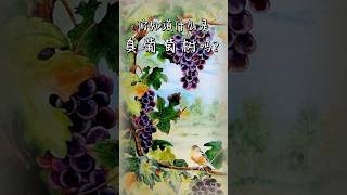 真葡萄树 - #约翰福音15章 #真葡萄树