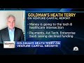 goldman sachs heath terry on tech regulation and venture capital growth