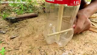 Creative Wild Chicken Trap Using Coca Cola Bottle 1.5 L and Wood