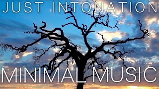 Just Intonation Music 🌿 Organ and Marimba Minimal Music