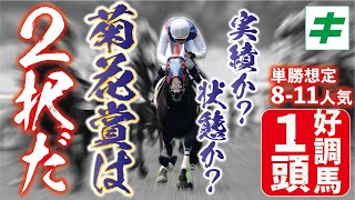 菊花賞 2022 【予想/調教】衝撃の前走からさらに上昇！混戦だからこそ「★あの馬の好仕上がり」に期待！