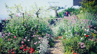 【公式】ウェルカムガーデン2022｜神戸布引ハーブ園／ロープウェイ｜Kobe Nunobiki Herb Gardens \u0026 Ropeway