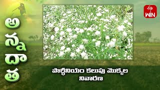 How to control parthenium or vayyaribhama | ETV