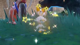 Pokémon Scarlet/Violet 馬上開孵！ 速度球色違炎兔兒 Shiny Scorbunny ヒバニー 寶可夢朱/紫