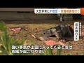 カーポート吹き飛び大破 車は横転…新潟で“突風”被害相次ぐ　突風の強さは風速約４０ｍと推定 23 10 05 18 39