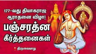 🔴Live | Panjarathna Keerthanaigal | 177th Thyagaraja Aradhana Festival | Thiruvaiyaru |SakthiVikatan