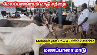 மேலப்பாளையம் மாடு சந்தை  | Melapalayam Cow \u0026 Bullock Market ||@tamilvivasayi