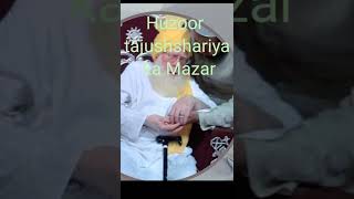 Huzoor tajushariya pir ajmal raza qadri #islamic# status