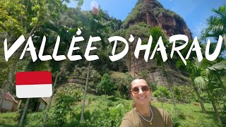 50 | Je n'oublierai pas cet endroit... (Vallée d'Harau) | Indonésie (Sumatra)