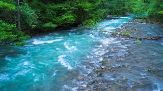 Calming Sound of Turquoise Mountain River. Nature Sounds, Flowing Water, White Noise for Sleeping.