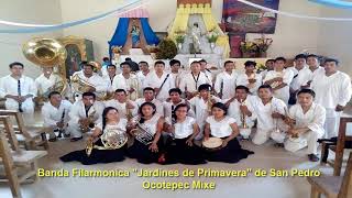 Sones y Jarabes Banda Filarmonica "Jardines de Primavera" de Ocotepec Mixe