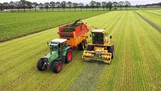 New Holland 1900S | Oldtimer Gras silage | Fendt | Gras Hakselen