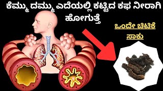 ರಾತ್ರಿ ವೇಳೆ ಬಿಡದೆ ಕಾಡುವ ಕೆಮ್ಮು ದಮ್ಮು ಎದೆಯಲ್ಲಿ ಕಟ್ಟಿದ ಕಫ ಎಲ್ಲವೂ ಕರಗಿ ನೀರಾಗಿ ಹೋಗುತ್ತೆ|Astama relif