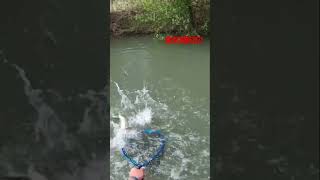 Pesca. Picadón y pelea con una gran trucha.