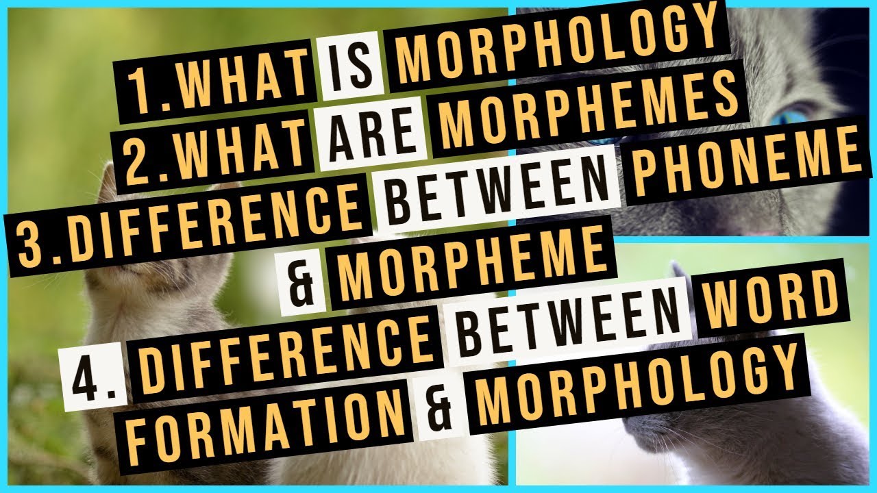 Morphology | Morphemes | Difference Between Phoneme And Morpheme ...