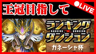 🔴【ガネーシャ杯 】ランダンやるぞ【パズドラ雑談配信】 #パズドラ