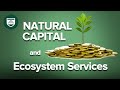 Natural Capital and Ecosystem Services—Professor Robert Costanza