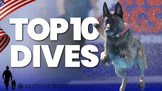 Top 10 Diving Dogs Moments | Memorial Day Special