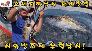 소세지찌낚시채비방법과 시화방조제 우럭낚시포인트 우럭낚시 조황!  #시화방조제 #시화방조제낚시 #소세지찌낚시 #우럭낚시