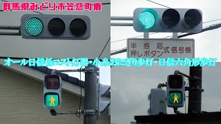 【信号機】群馬県みどり市笠懸町鹿 オール日信低コスト250㎜と小糸おにぎり2代目レンズ歩灯・日信六角形歩灯