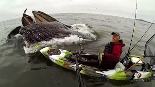 TWO Whales Surprise Kayaker! ORIGINAL VIDEO | Edub Outdoors