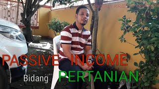 Passive Income di Bidang Pertanian / perkebunan