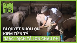 Tỷ phú nuôi lợn 