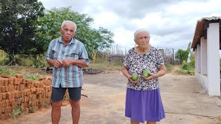 CHEGUEI NA CASA DE DONA INÁCIA COM UMA NOVA PROPOSTA ACONTECIMENTOS NO SERTÃO NORDESTINO