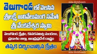 Velugonda Sri Venkateswara Swamy Temple - వెలుగొండ శ్రీ వేంకటేశ్వరస్వామి క్షేత్రం