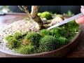 Small Bonsai Operations with Big Results, Dec 2016