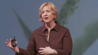 The Power of Vulnerability |  Brene Brown (TED Talk Summary)