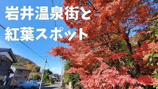 岩井温泉街と紅葉スポット