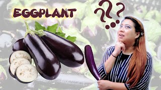 The Easy way to plant Eggplant from store bought eggplants