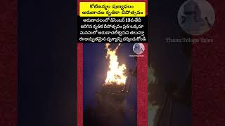 అరుణాచల శివ కృత్తిక దీపోత్సవం🔥🔥 #like 1k #trending #facts #shiva #arunachalam |@Thanutelugutales