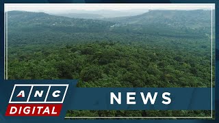 DENR eyes planting trees to prevent flooding, landslides | ANC