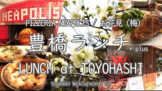 【AICHI JAPAN】Enjoy LUNCH & FLOWER in Toyohashi ～PIZZERIA NEAPOLIS / Plum Blossoms