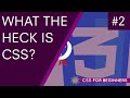 CSS Tutorial For Beginners - What is CSS?