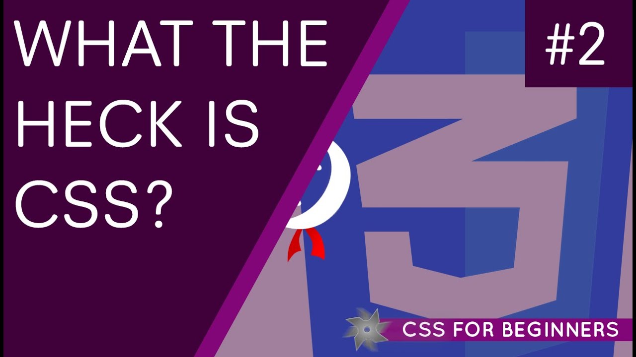 CSS Tutorial For Beginners - What Is CSS? - YouTube