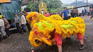 【台灣文揚龍獅團-醒獅團＆戰鼓團】～113淡水三芝九庄輪祀保生大帝過庄遶境~輪值庄頭：草埔尾庄(中和里、蕃薯里)