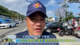 20230128 大武山豬窟梅花綻放 春節假期吸引眾多遊客上山