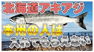 【村田基】[北海道アキアジ]本州の人はオカッパリはダメ【村田基奇跡の釣り大学切り抜き】 2023/04/22より