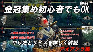 サイズ詳細・解説付き MHRise 金冠歴10年のハンターが教えるわかりやすい金冠集めのやり方　アオアシラ編　モンスターハンターライズ