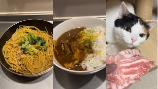 【飯テロ】2023年8月のオッサン料理5品①とたまに猫　August 2023 5 Ossan dishes ① and occasional cats