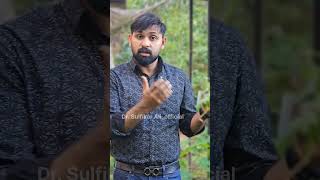 കീഴാർ നെല്ലി :ഒരു പ്രയോഗം പറയാം part 2 #ayurveda #trending #medicinalplants #keezhaarnelli