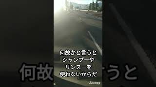 ホームレスにハゲはいないという