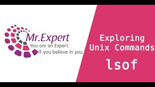 Exploring Unix/Linux lsof commands