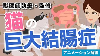 猫の巨大結腸症について【獣医師執筆監修】症状から治療方法まで