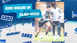 HaHoHe - Eine Woche in Blau-Weiß | 11. Spieltag | Hertha BSC vs. Bayer 04 Leverkusen