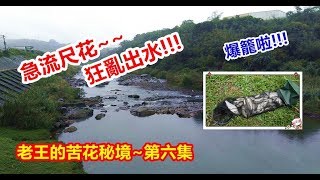 【溪釣苦花】老王的苦花秘境第六集~急流尺花狂亂出水｜蝦皮愛釣魚